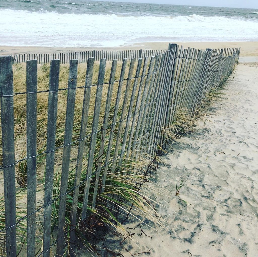 beach fence